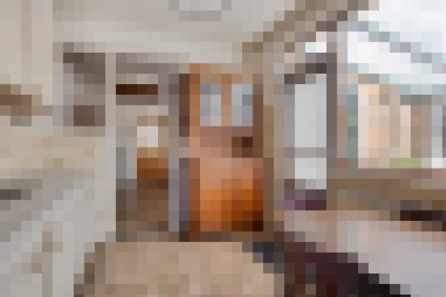 Verlengde Torenstraat 4 B Oss thumbnail 18