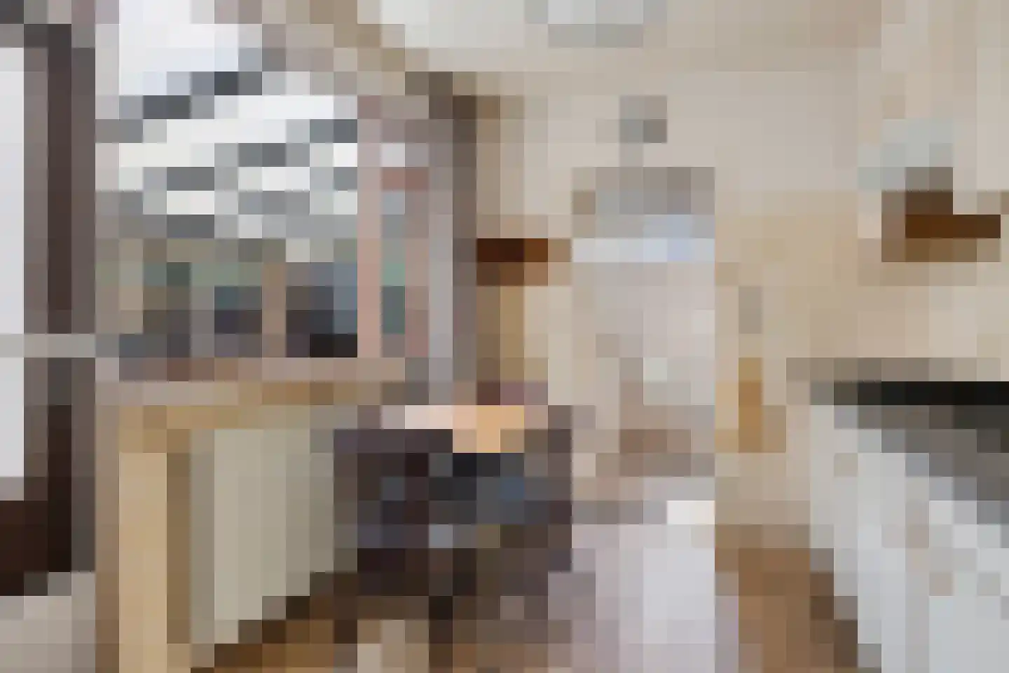 Verlengde Torenstraat 4 B Oss thumbnail 19