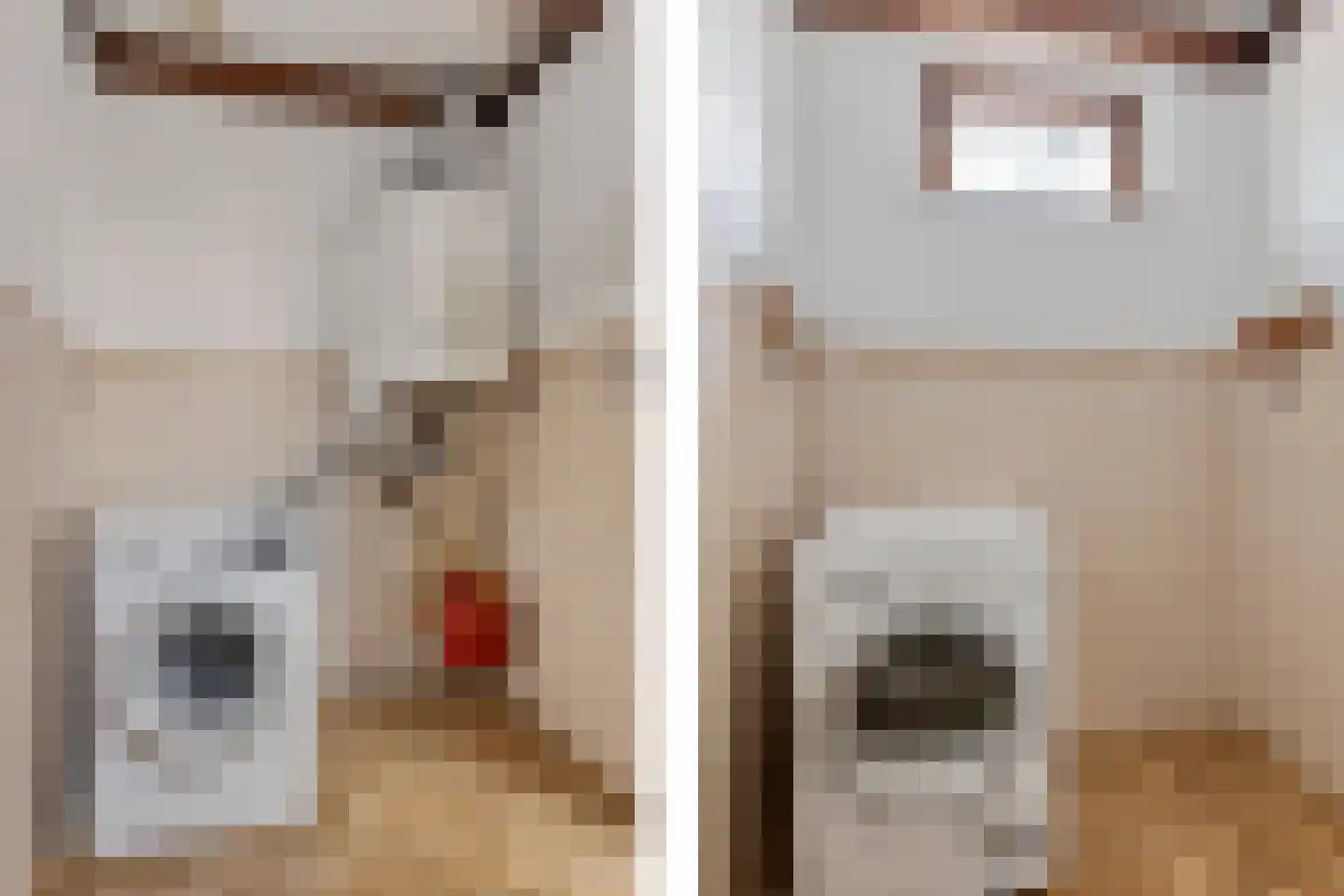 Verlengde Torenstraat 4 B Oss thumbnail 20