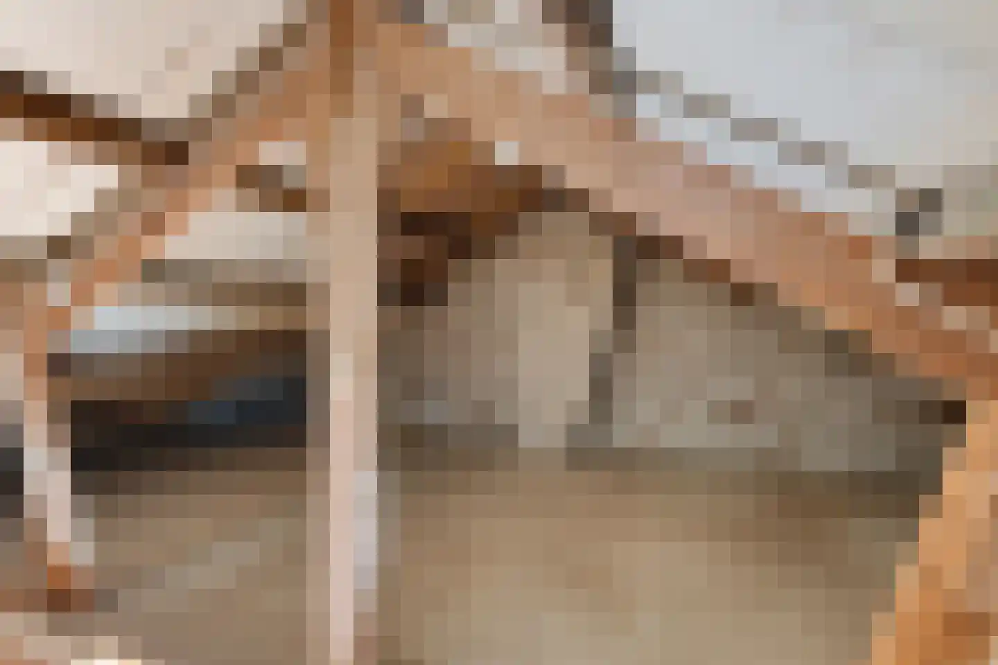 Verlengde Torenstraat 4 B Oss thumbnail 34