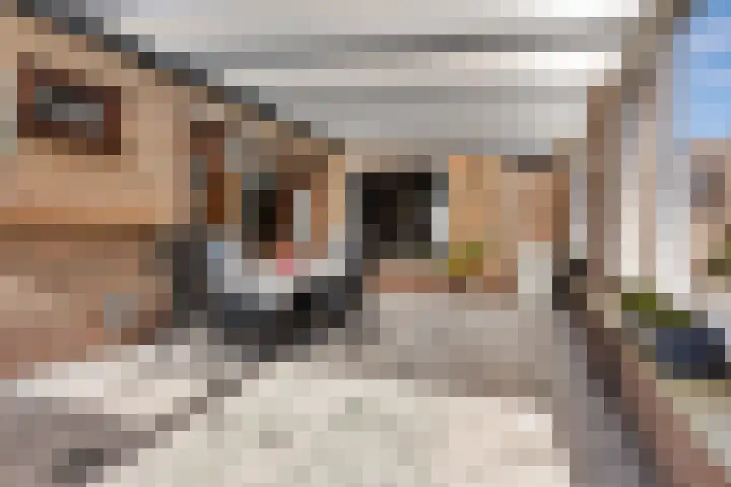 Verlengde Torenstraat 4 B Oss thumbnail 37