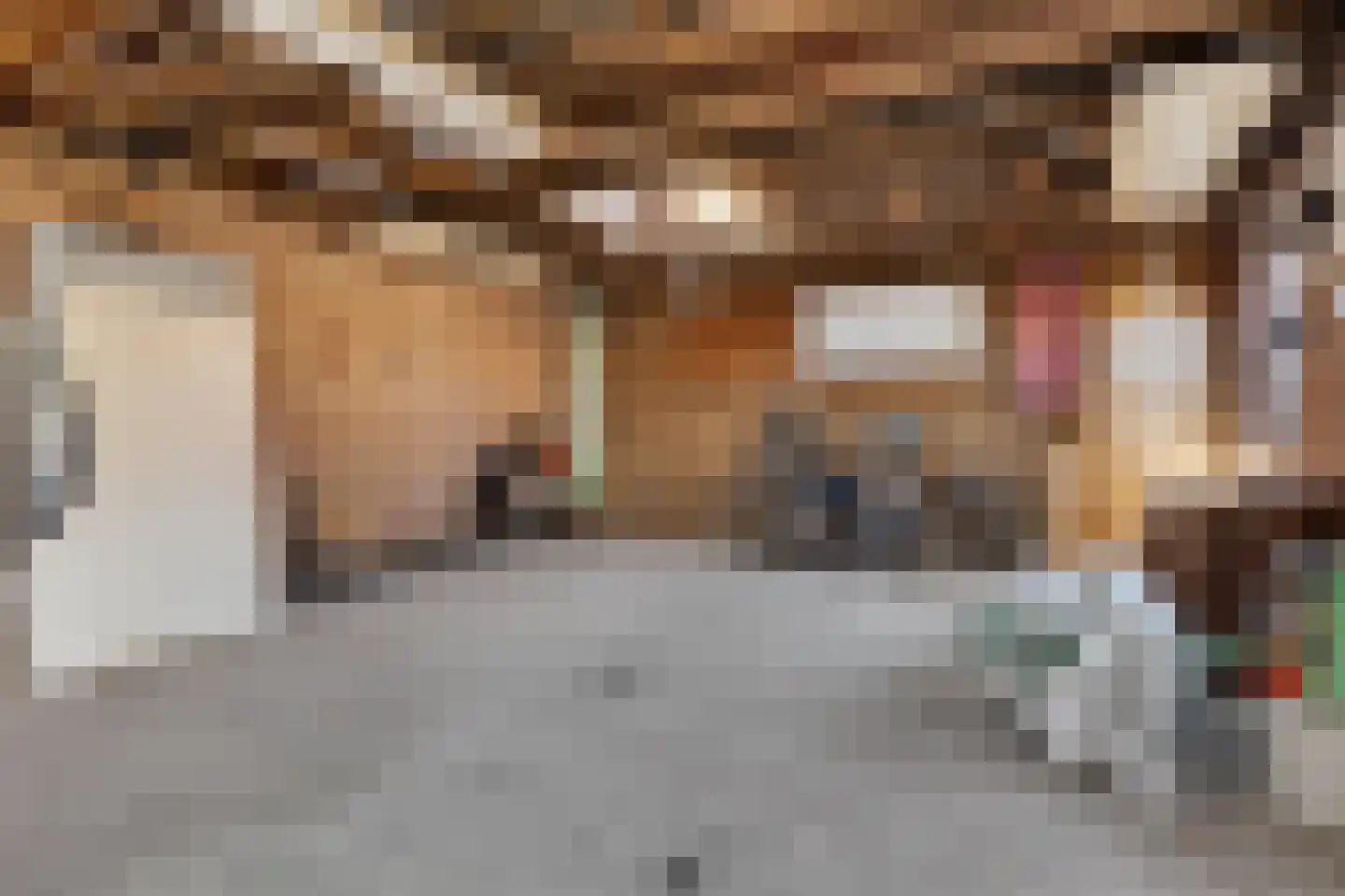 Verlengde Torenstraat 4 B Oss thumbnail 45