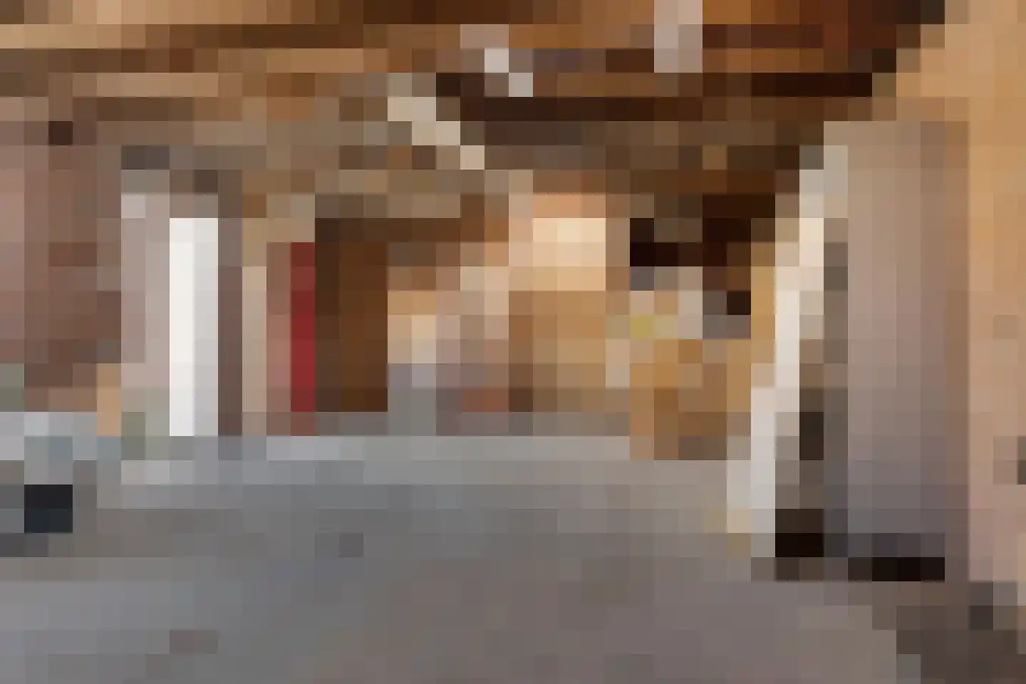 Verlengde Torenstraat 4 B Oss thumbnail 46