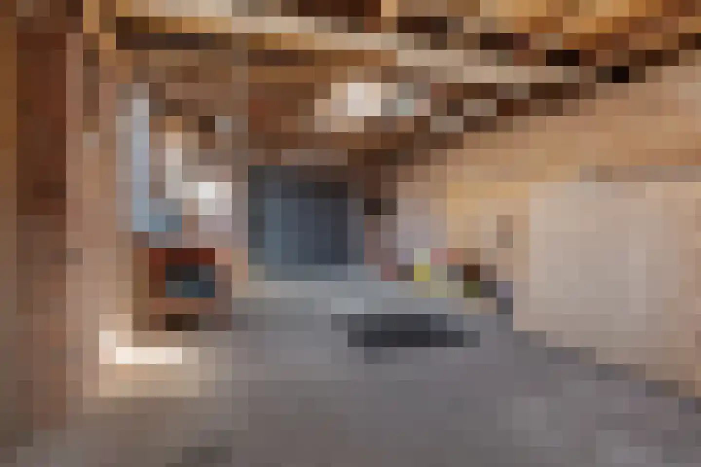 Verlengde Torenstraat 4 B Oss thumbnail 47