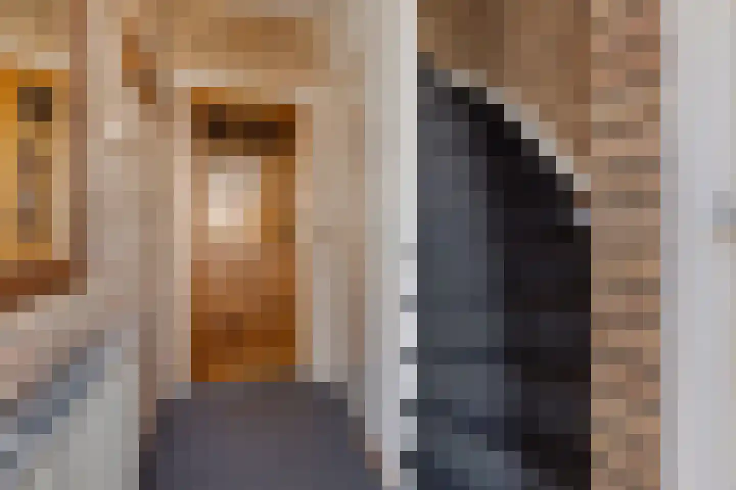 Verlengde Torenstraat 4 B Oss thumbnail 7