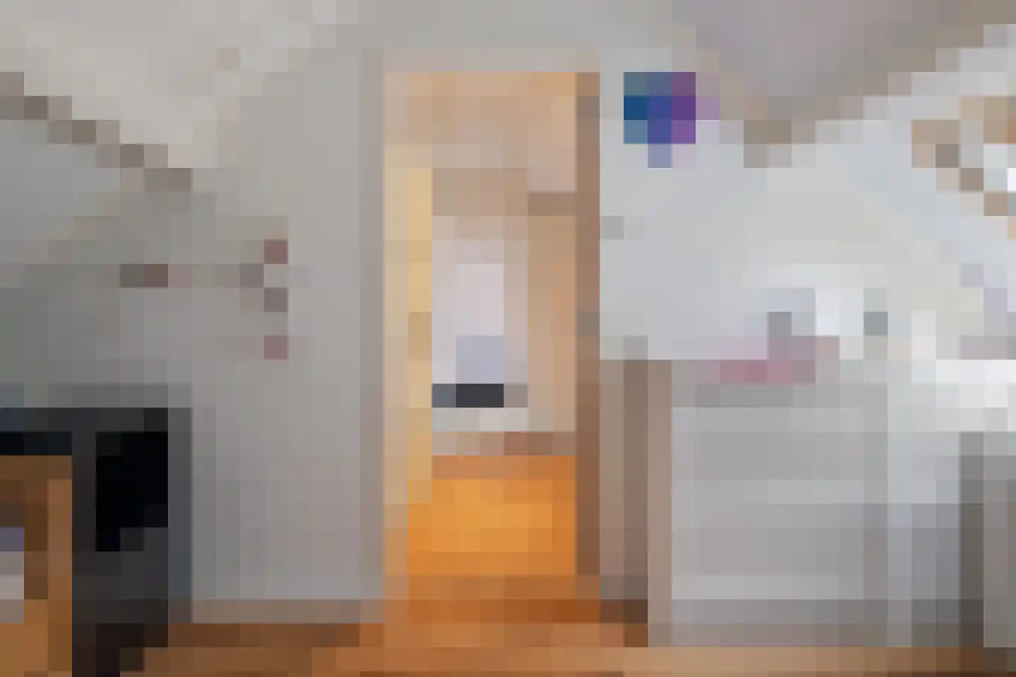 Verlengde Tweede Groenedijk 11 Emmer-Compascuum thumbnail 22