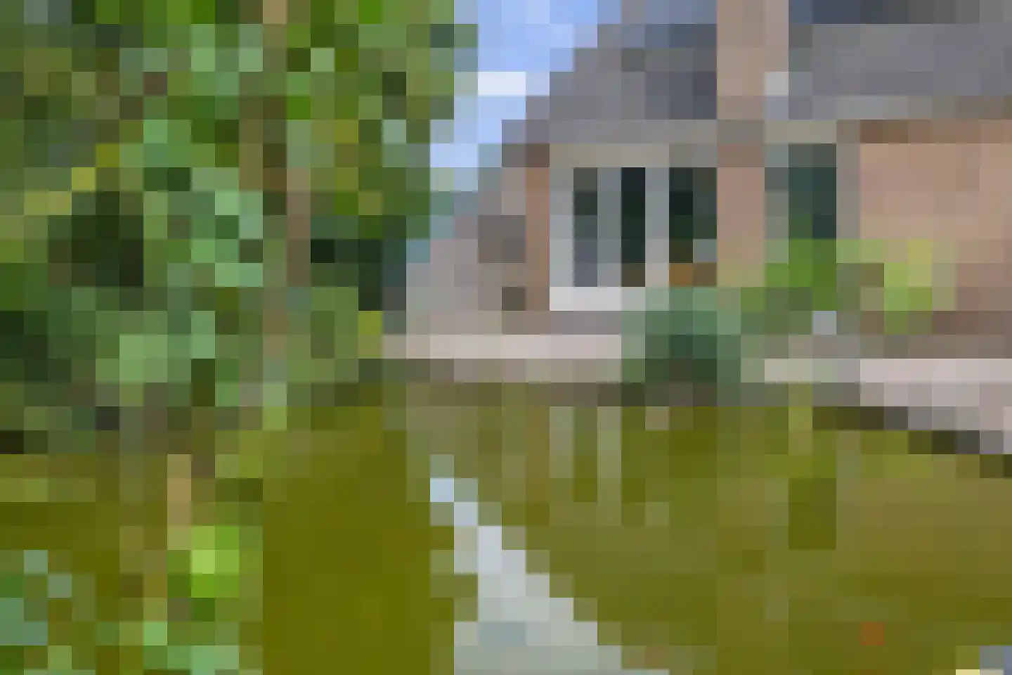 Verlengde Tweede Groenedijk 11 Emmer-Compascuum thumbnail 27