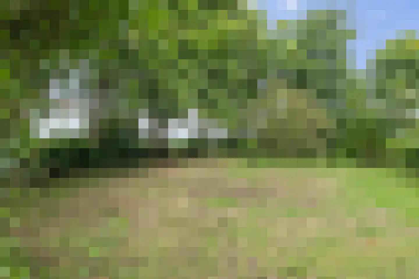Verlengde Tweede Groenedijk 11 Emmer-Compascuum thumbnail 31