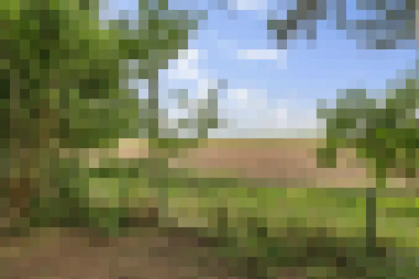 Verlengde Tweede Groenedijk 11 Emmer-Compascuum thumbnail 33