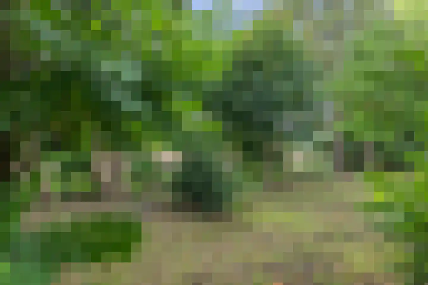 Verlengde Tweede Groenedijk 11 Emmer-Compascuum thumbnail 34