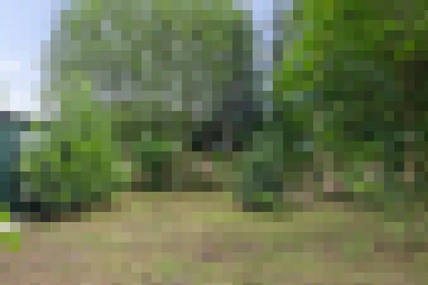 Verlengde Tweede Groenedijk 11 Emmer-Compascuum thumbnail 35