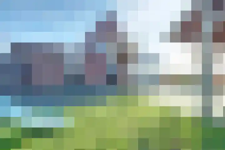 Verlengde Tweede Koppelveenweg 12 Emmer-Compascuum thumbnail 35