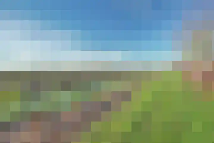 Verlengde Tweede Koppelveenweg 12 Emmer-Compascuum thumbnail 41