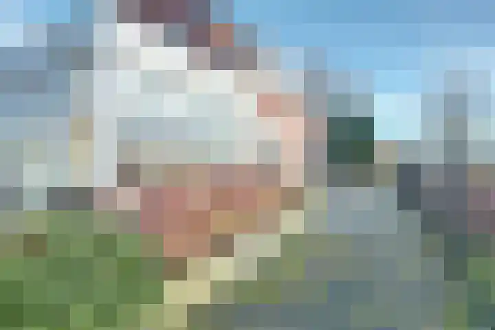 Verlengde Tweede Koppelveenweg 12 Emmer-Compascuum thumbnail 43