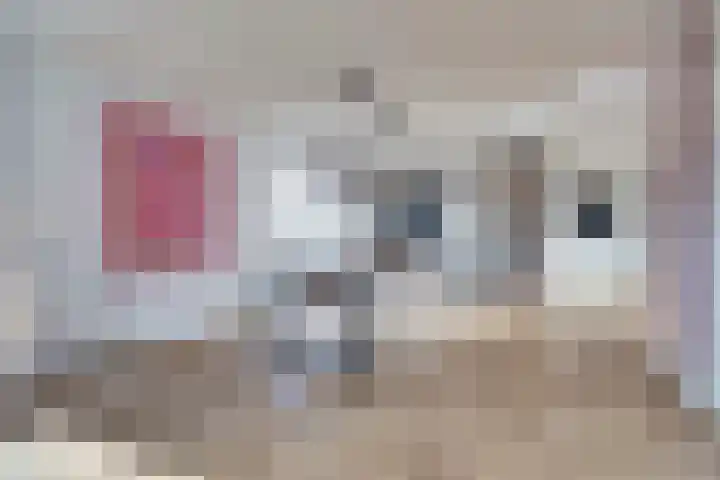 Verlengde Tweede Koppelveenweg 12 Emmer-Compascuum thumbnail 8