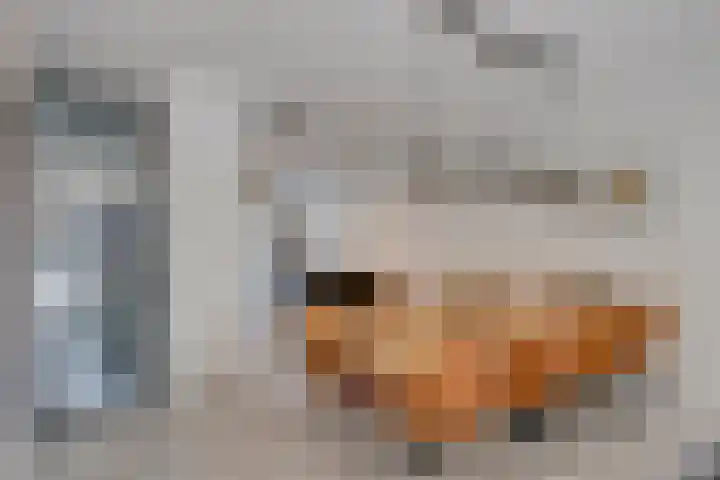 Verlengde Utrechtseweg 123 Utrecht thumbnail 14