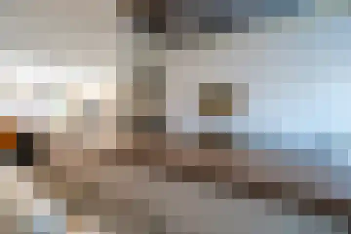 Verlengde Utrechtseweg 123 Utrecht thumbnail 19