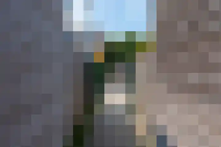Verlengde Utrechtseweg 123 Utrecht thumbnail 51