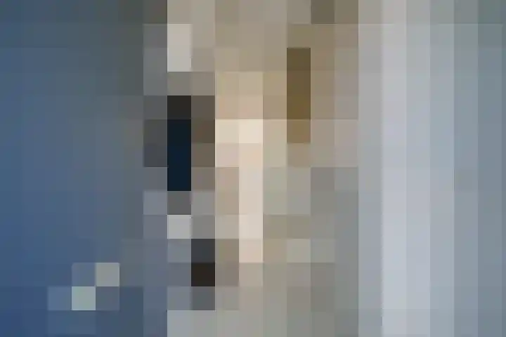 Verlengde Utrechtseweg 123 Utrecht thumbnail 7