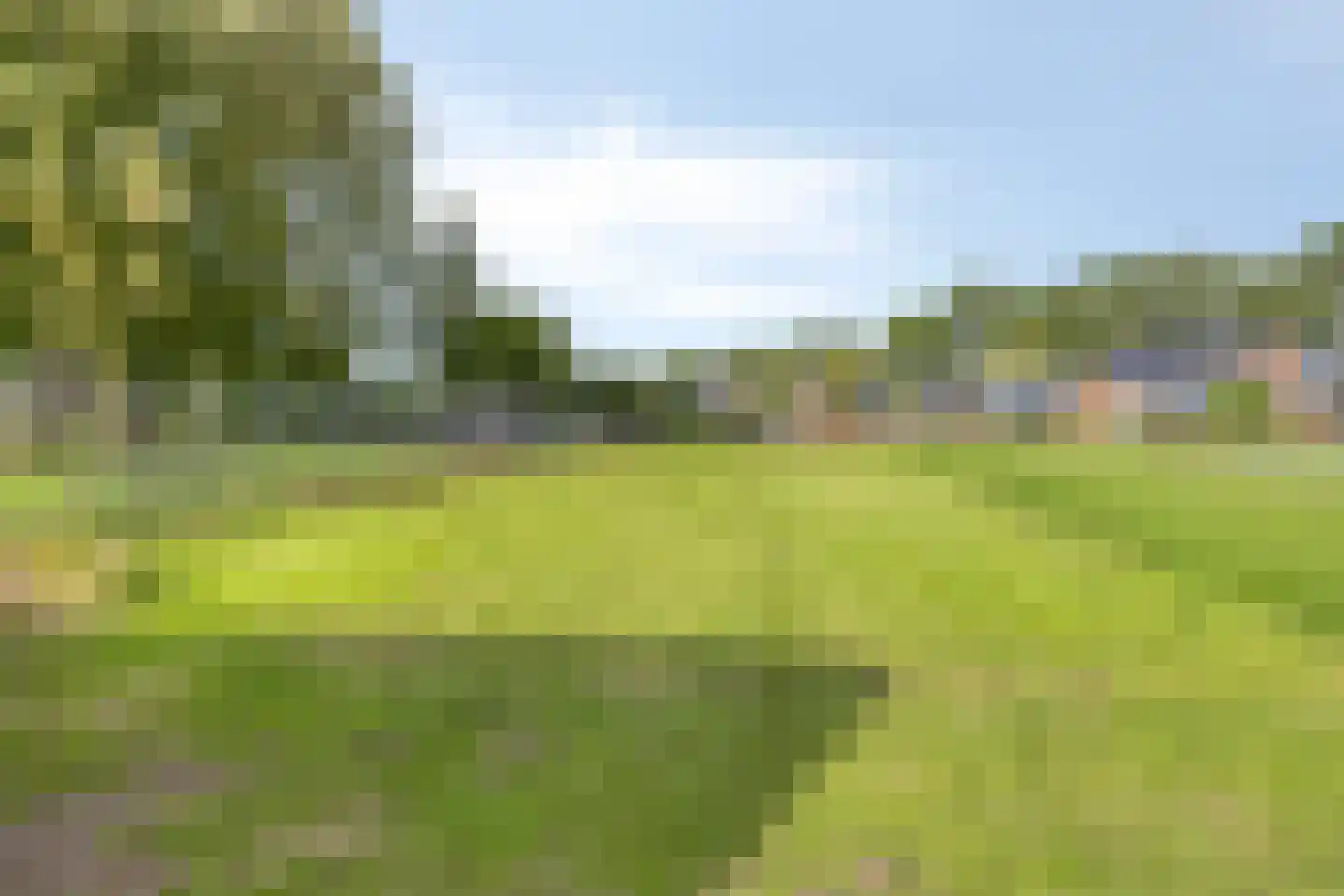 Verlengde Vaart NZ 103 Erica thumbnail 27