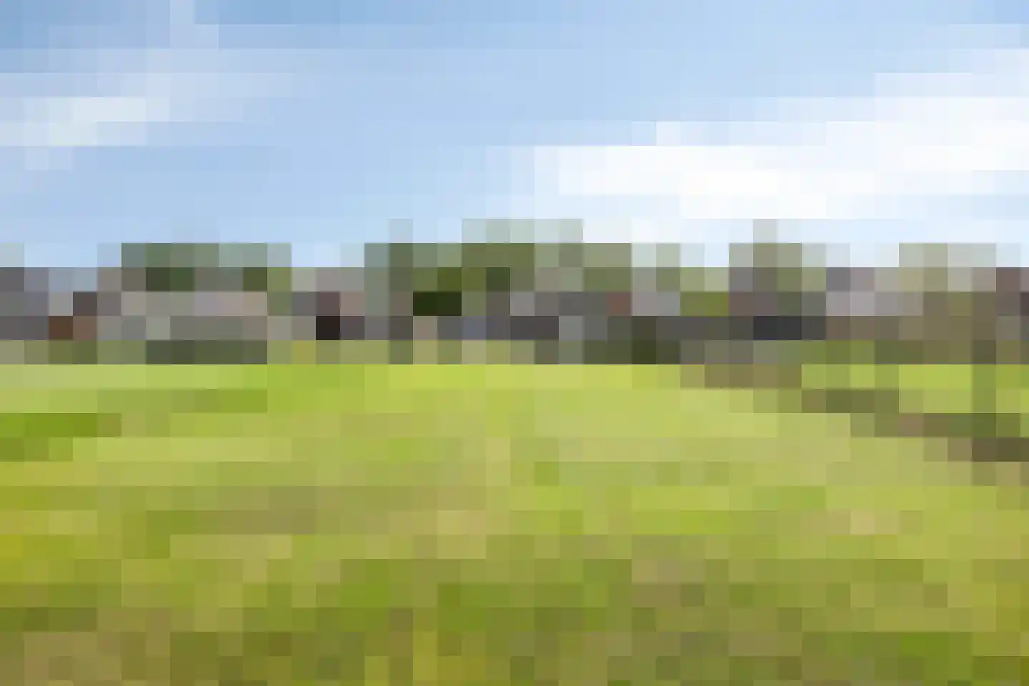 Verlengde Vaart NZ 103 Erica thumbnail 28