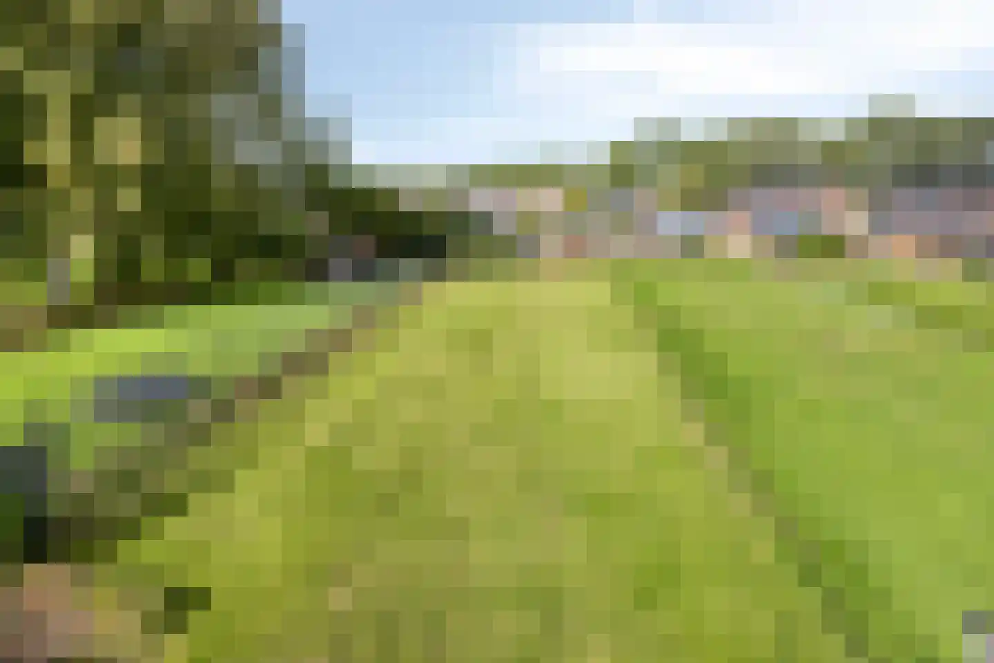 Verlengde Vaart NZ 103 Erica thumbnail 29
