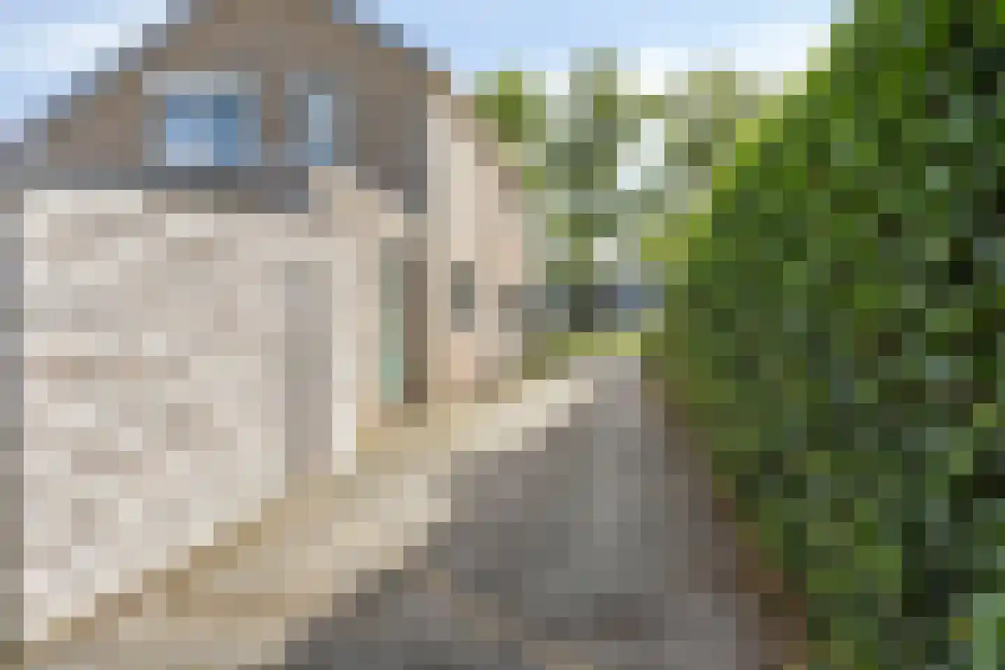 Verlengde Vaart NZ 103 Erica thumbnail 30