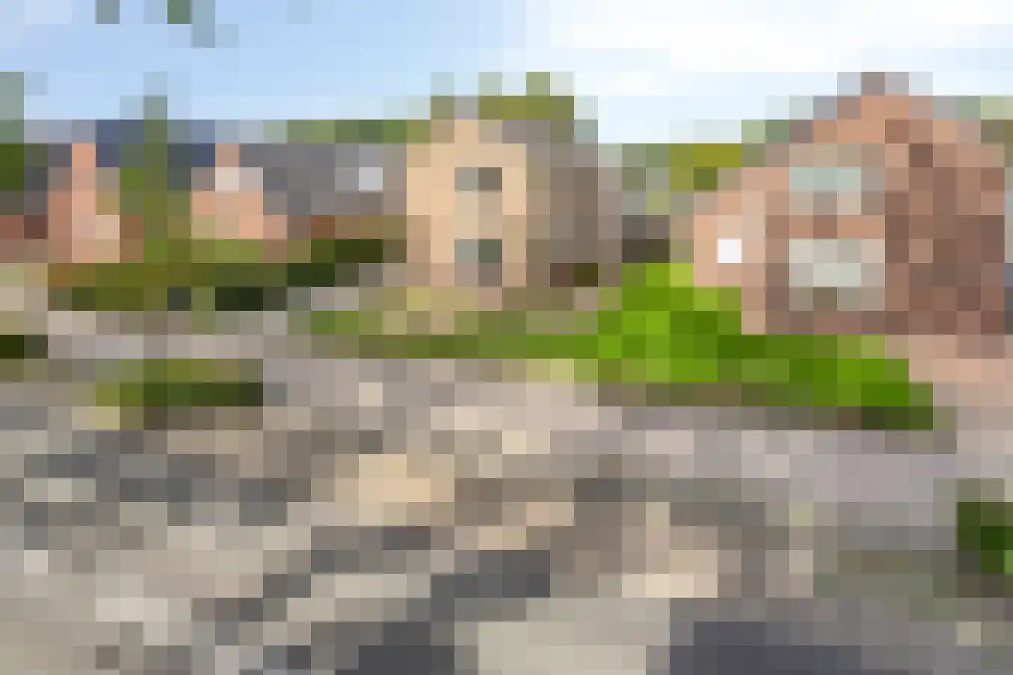 Verlengde Vaart NZ 103 Erica thumbnail 33