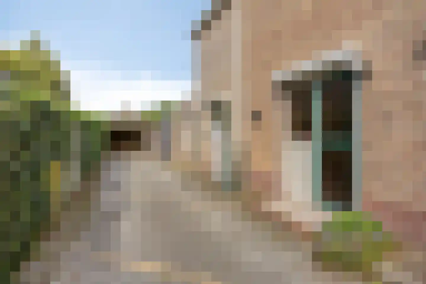Verlengde Vaart NZ 103 Erica thumbnail 4