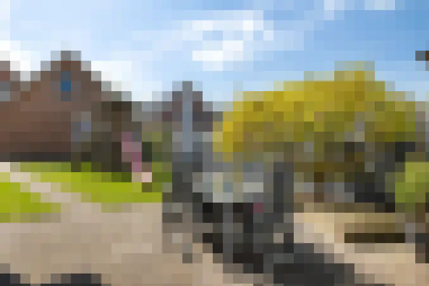Verlengde Vaart NZ 116 A Erica thumbnail 13