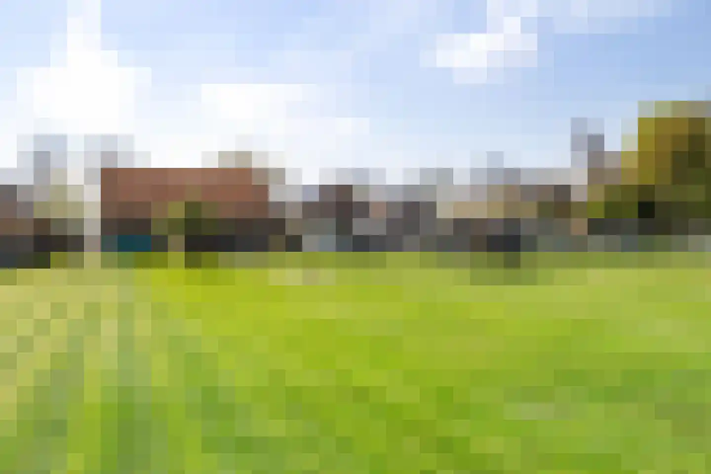 Verlengde Vaart NZ 116 A Erica thumbnail 14
