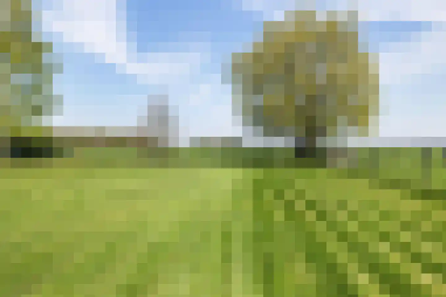 Verlengde Vaart NZ 116 A Erica thumbnail 15