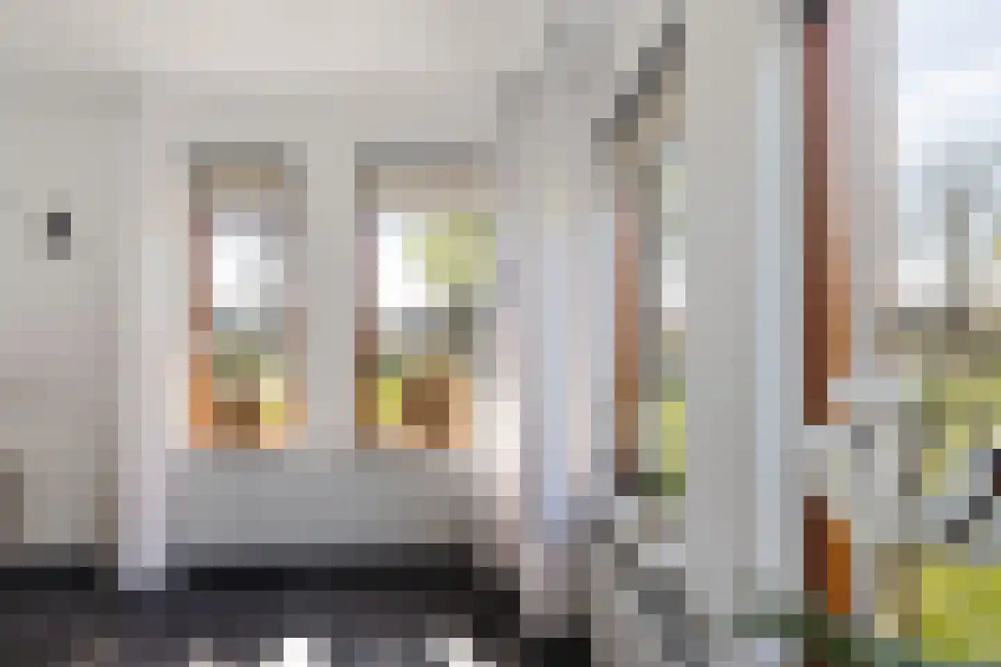 Verlengde Vaart NZ 116 A Erica thumbnail 22