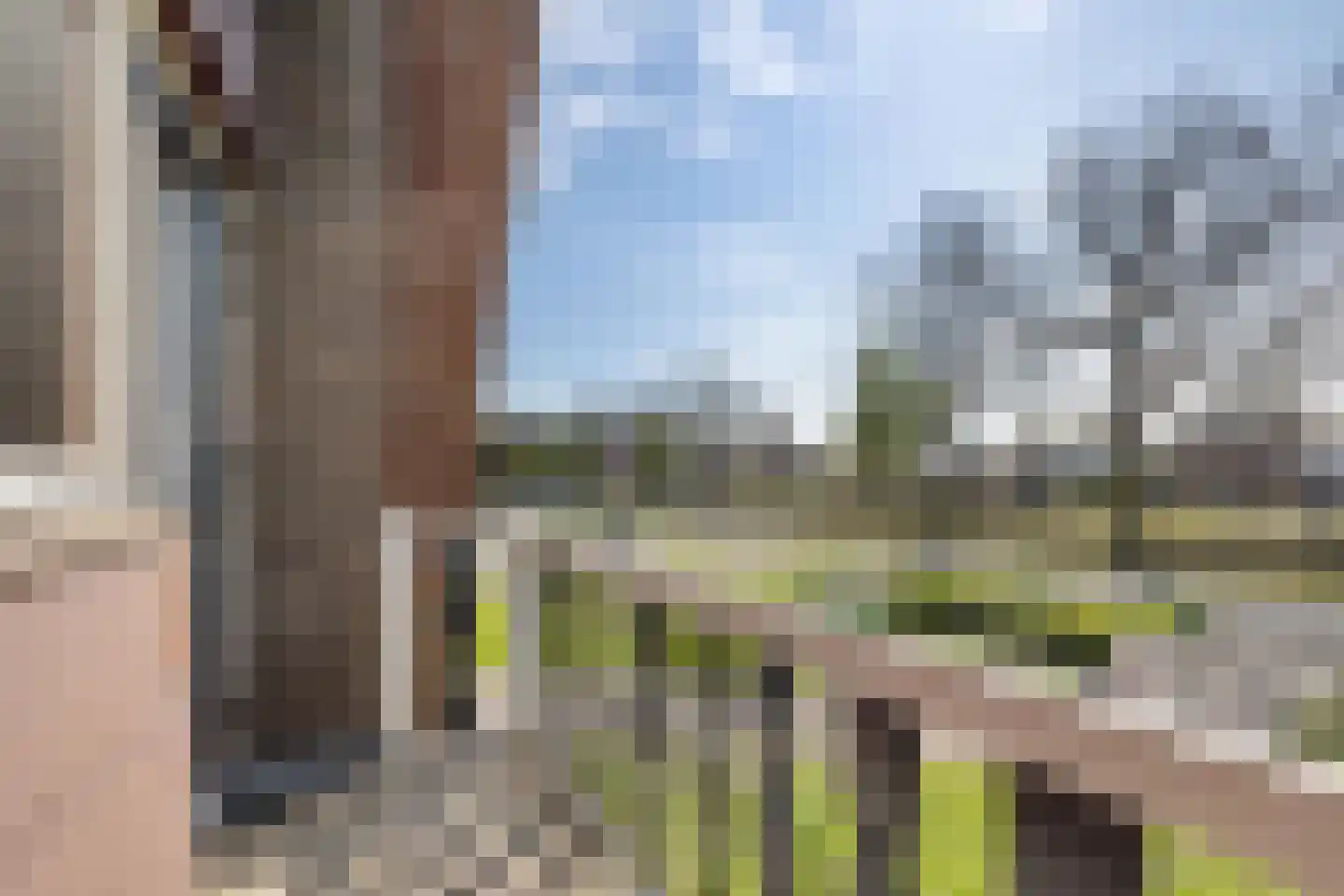 Verlengde Vaart NZ 116 A Erica thumbnail 36