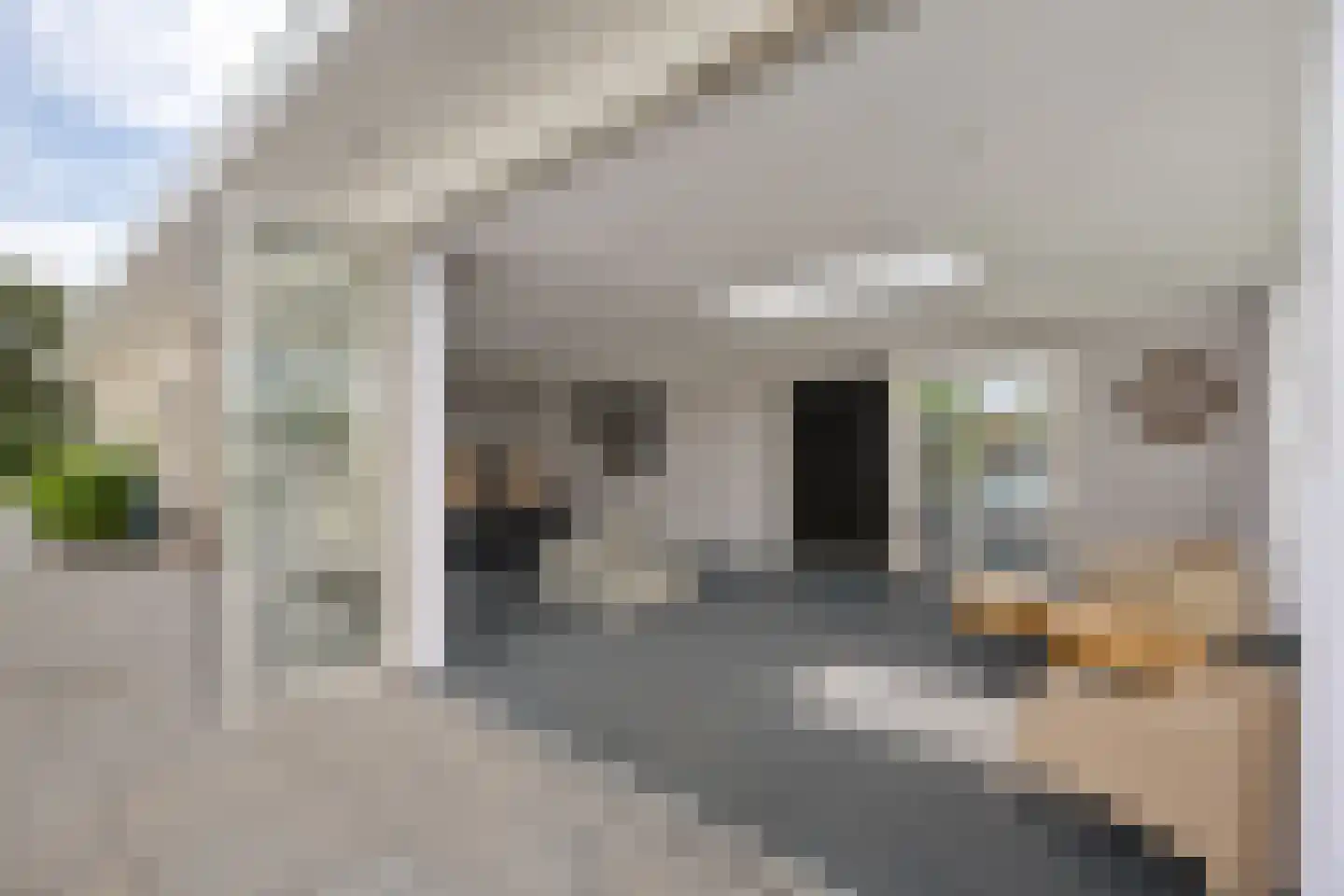 Verlengde Vaart NZ 33 B Erica thumbnail 47