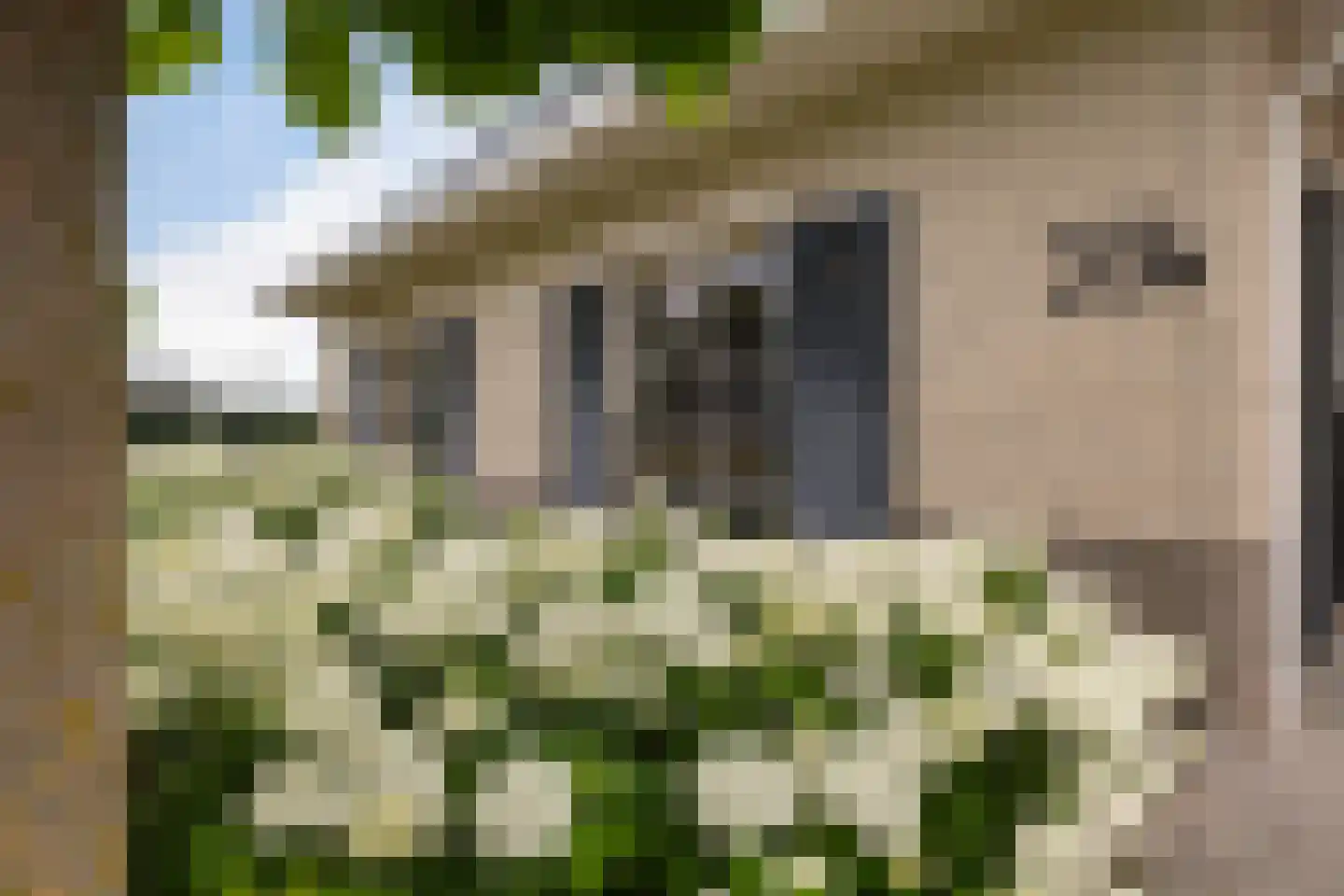 Verlengde Vaart NZ 33 B Erica thumbnail 8
