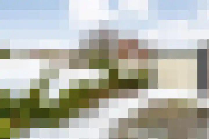 Verlengde Vaart NZ 72 B Erica thumbnail 42