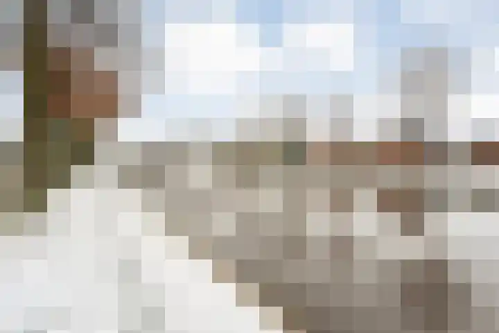 Verlengde Vaart NZ 72 B Erica thumbnail 45