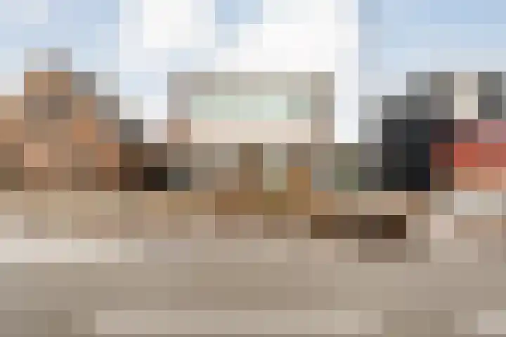 Verlengde Vaart NZ 72 B Erica thumbnail 5