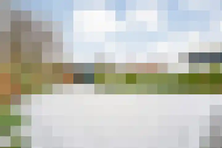 Verlengde Vaart NZ 72 B Erica thumbnail 50