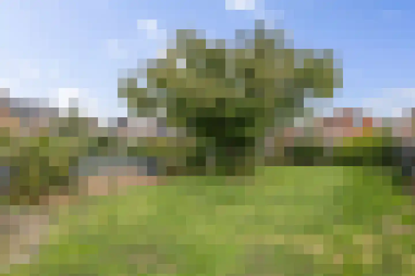 Verlengde Vaart NZ 74 Erica thumbnail 29