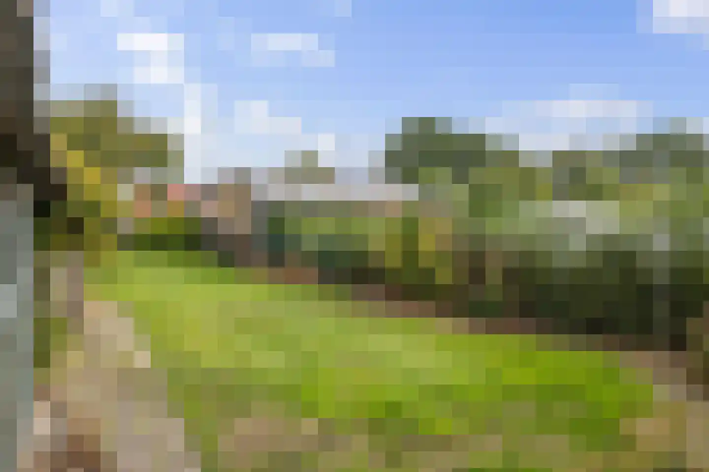 Verlengde Vaart NZ 74 Erica thumbnail 34