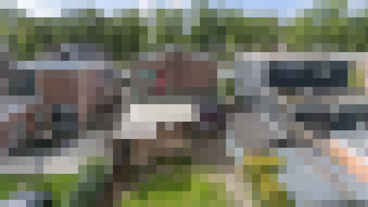 Verlengde Vaart NZ 74 Erica thumbnail 35