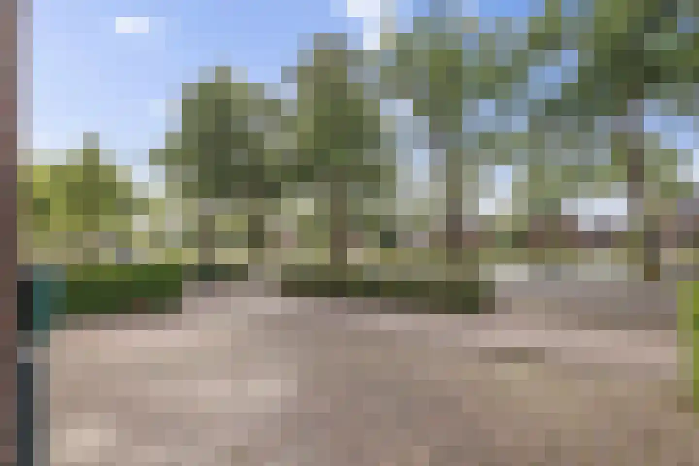 Verlengde Vaart NZ 74 Erica thumbnail 42