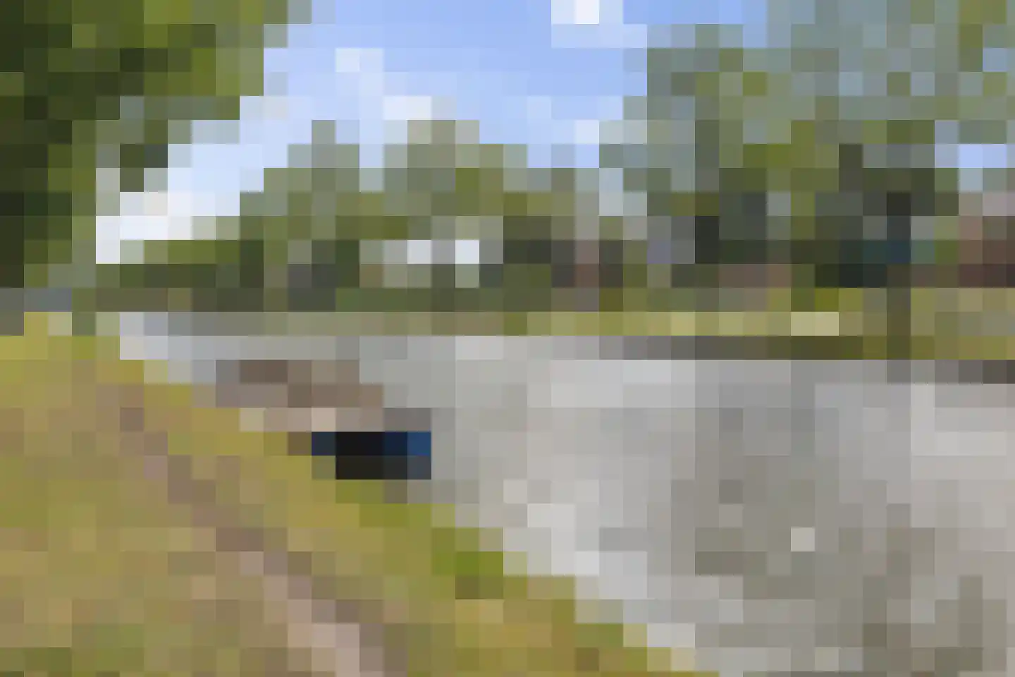 Verlengde Vaart NZ 74 Erica thumbnail 43