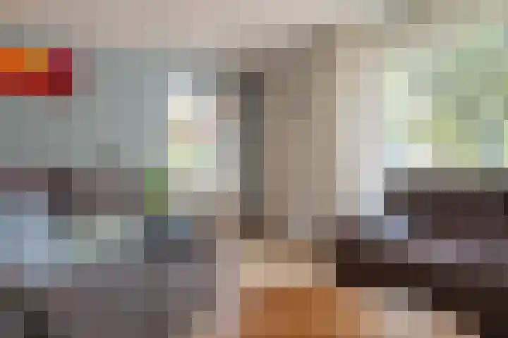 Verlengde Vaart NZ 93 Erica thumbnail 15