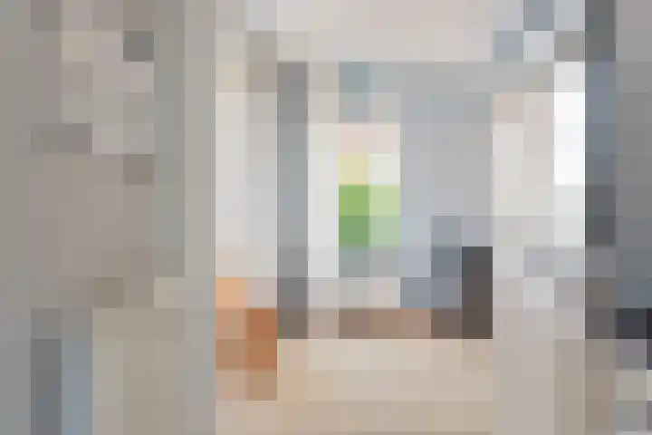 Verlengde Vaart NZ 93 Erica thumbnail 21
