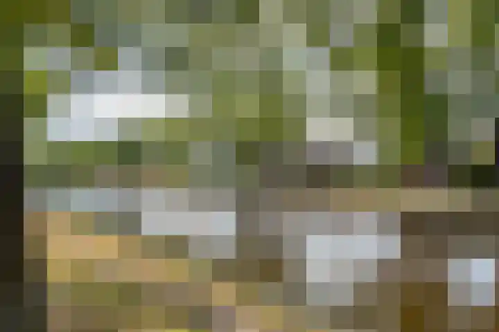 Verlengde Vaart NZ 93 Erica thumbnail 4