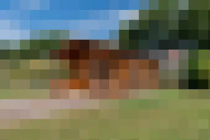 Verlengde Vaart NZ 93 Erica thumbnail 58