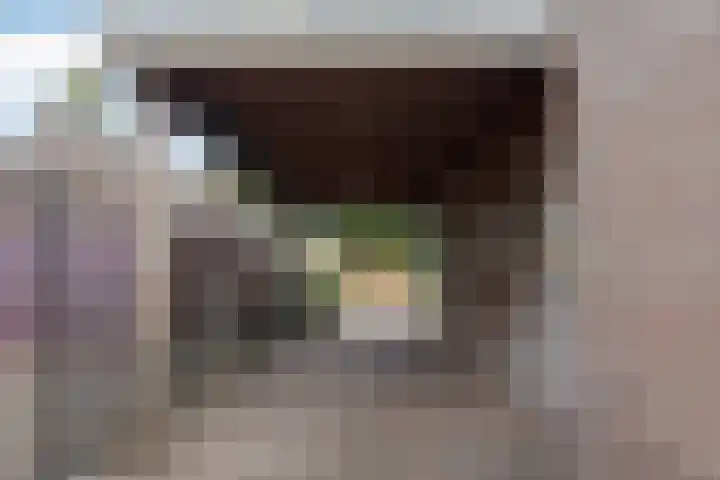 Verlengde Vaart NZ 93 Erica thumbnail 6